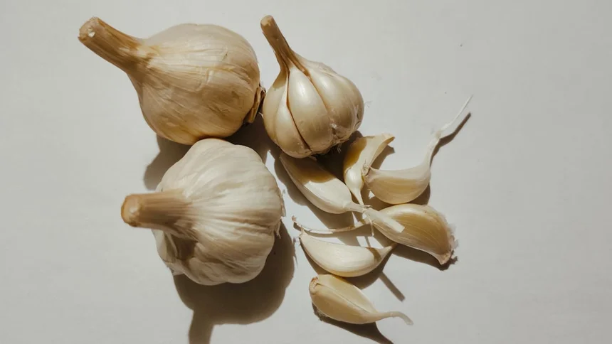 Garlic